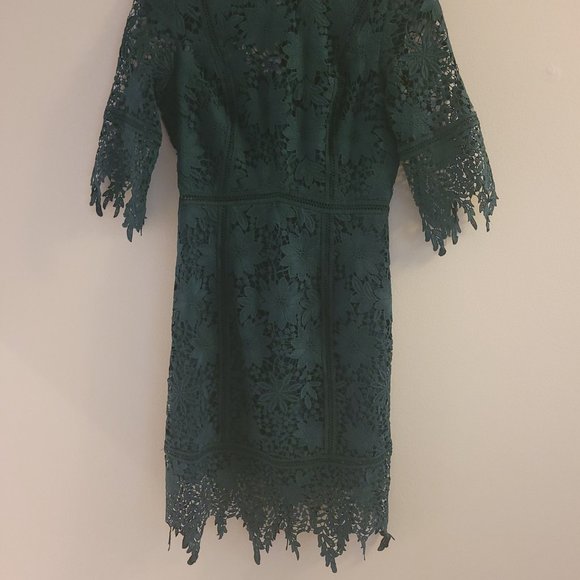 Minuet Lace fitted sheath dress - Picture 4 of 4